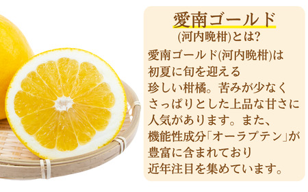 甘酒 愛南ゴールド 入り 150g 2本 甘酒 愛なんよ