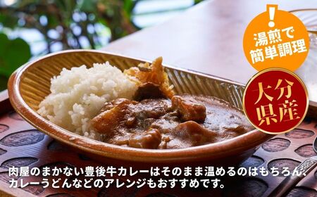 肉屋のまかない豊後牛レトルトカレー 230g×10袋 | 豊後高田市 レトルトカレー