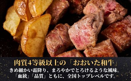 おおいた和牛サイコロステーキ 200g | 豊後高田市 ステーキ