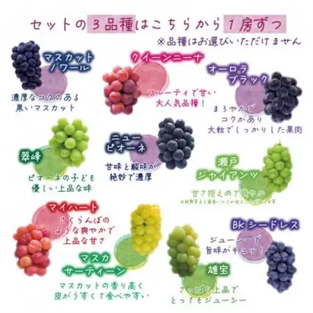 岡山　花笑み農園の『食べ比べ4種』シャイン入り　贈答用　2kg (4房) 4M-2上【配送不可地域：離島】【1650752】