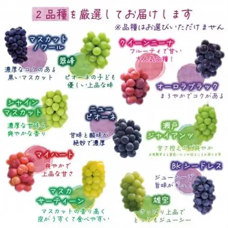 岡山　花笑み農園のブドウ『訳あり2種MIX』1kg　W2M-1【配送不可地域：離島】【1650786】