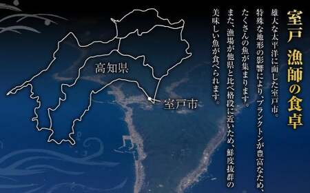 【3回定期便】カツオのたたき 2節 カツオのたたき ry030
