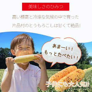 片品村産とうもろこし (品種：ドルチェドリーム) 1箱 約5kg とうもろこし ドルチェドリーム スイートコーン 片品村 トウモロコシ