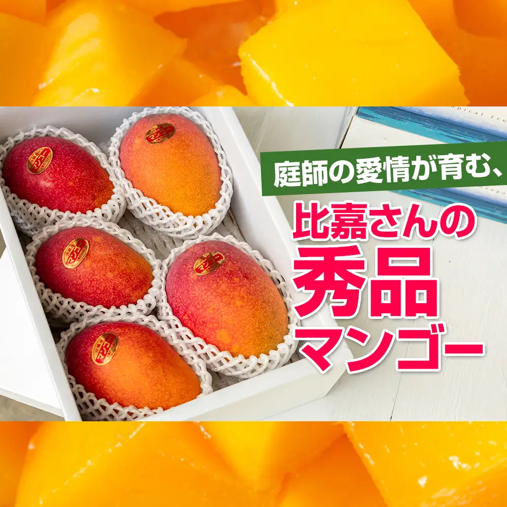 【2026年発送】比嘉マンゴーファームのアーウィンマンゴー　秀品（贈答用）2kg