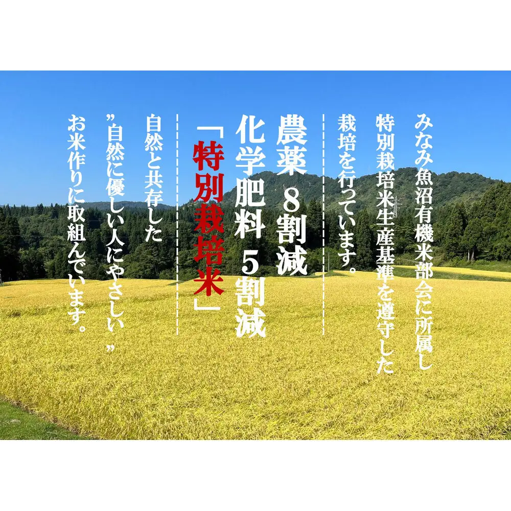 「とやの里山継承プロジェクト対象」【天水棚田米】南魚沼塩沢産コシヒカリ　精米5kg全1回【銘柄米 ブランド米 精米 こしひかり コシヒカリ 魚沼産 新潟米 産地直送 お米 米 こめ コメ ご飯 御飯 ごはん】