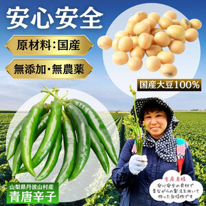 激辛国産青唐辛子味噌「けつっこわし」 【100ｇ×2本】辛くておいしい無添加合わせ味噌 【tab0223-202】
