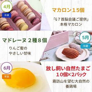 長野県 定期便 【 決定版 】塩尻うまいもの巡礼便（12回） 塩尻のぶどう そば 山賊焼 逸品