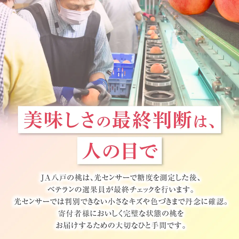 【2025年発送分残り僅か】桃 約5kg (15～18玉) 「ぴちパ　ピーチ」 桃 桃 桃 桃 桃