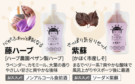 【砂糖不使用・自然な甘み】糀シロップ「コージロー」5種セット | 甘味料