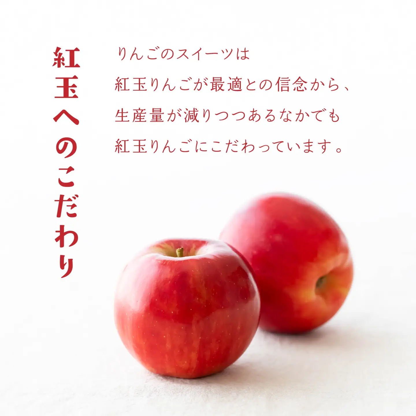 Rin-55aomori 贅沢りんごタルト4個セット 青森県 八戸市