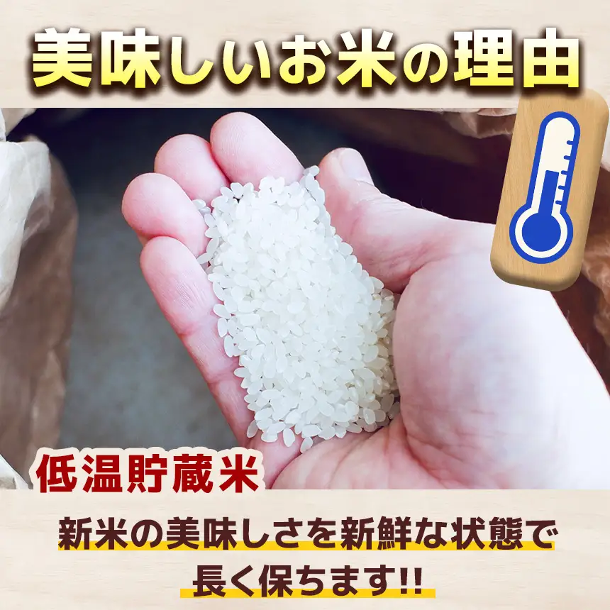 とちぎの星 5kg