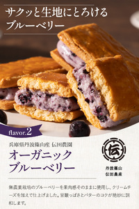 クッキーサンド (3種 甘夏 ブルーベリー バニラ ) 5個セット クッキーサンド FPC001