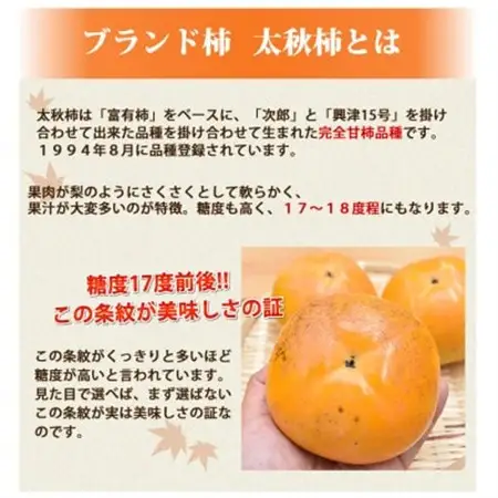 訳あり 太秋柿  約3kg【2026年10月下旬-11月下旬発送予定】(益城町)【1650957】