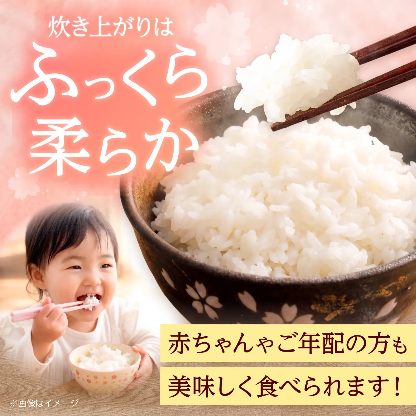 夢つくし 白米5kg [BGAA084] 5キロ 白米