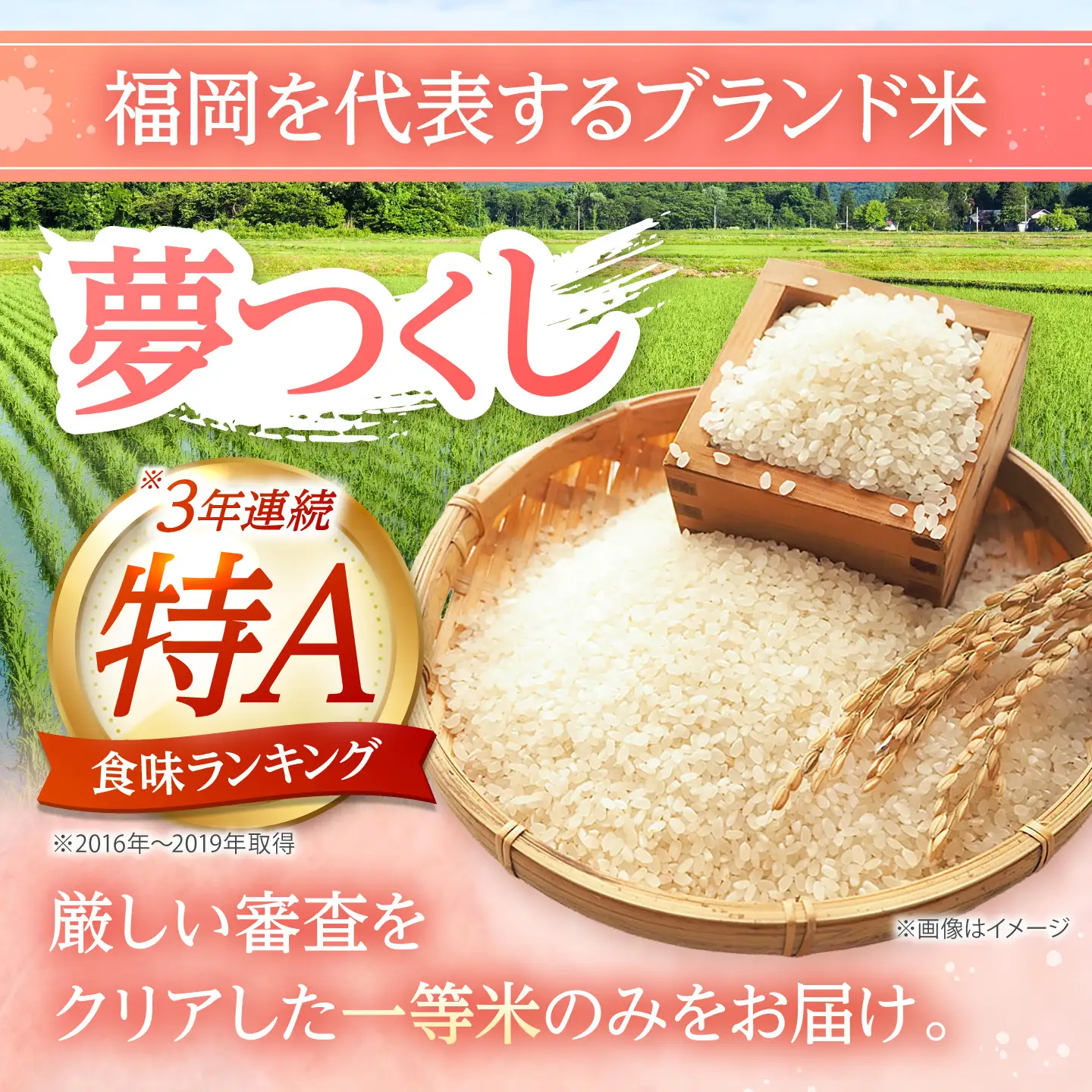 夢つくし 無洗米 20kg [BGAA089] ゆめつくし 無洗 20キロ
