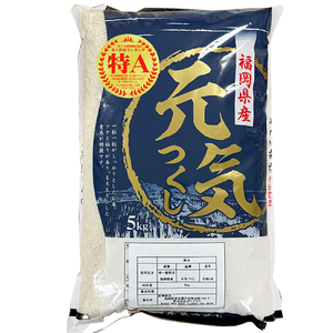 【先行予約】【令和7年産】元気つくし 白米 5kg [BGAA090] 元気つくし