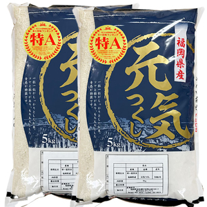 【先行予約】【令和7年産】元気つくし白米10kg(5kg×2袋) [BGAA092] 元気つくし 10キロ