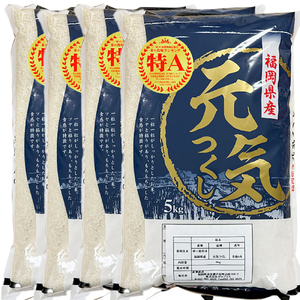 【先行予約】【令和7年産】元気つくし白米20kg(5kg×4袋)[BGAA094] 大容量 大容量
