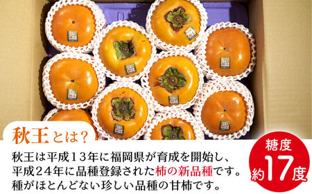 【先行予約】秋王柿約1.5kg(4-6玉) [BGAG015]種なし柿