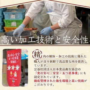 牛タン塩 ネギまみれ 500g(250g×2p) 牛タン タン 牛たん 牛肉 肉 食品 冷凍保存 焼肉 BBQ バーベキュー 焼き肉 小分け 【有限会社ちば食品】tm377