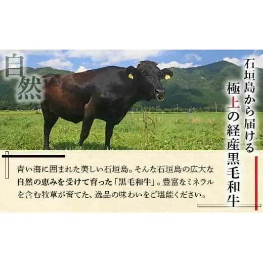 石垣島産経産黒毛和牛 焼肉セット計 500g　NA-01