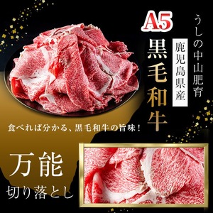 【定期便全3回】＜A4・A5等級＞黒毛和牛堪万能切り落とし肉 計1.2kg（400g×1P・全3回） 黒毛和牛 和牛 切り落とし 肉 牛肉 国産 九州産 鹿児島県産 すき焼き しゃぶしゃぶ 牛丼 小分け A5 日本一 ランキング 人気 定期便 t0039-005