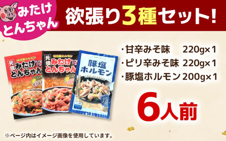 「元祖みたけとんちゃん」 3種セット（6人前）[AVAA056]ホルモン 食べ比べ