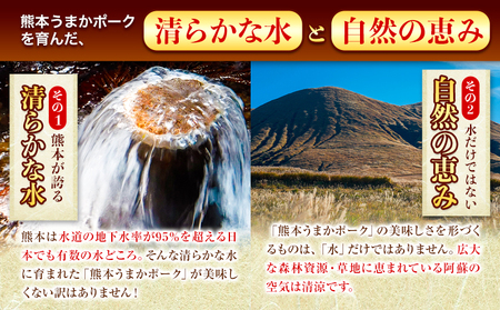 豚肉 小分け しゃぶしゃぶ 豚バラ 豚ロース 熊本 うまか ポーク スライス トレー 3kg《30日以内に出荷予定(土日祝除く)》 豚しゃぶ 3種豚バラエティー セット 小分け スライス