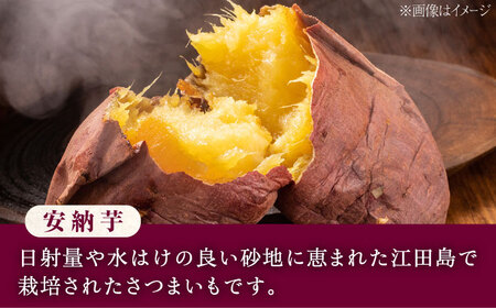 【全3回】芋焼酎 安納芋720ml×2 焼酎[XAD079]