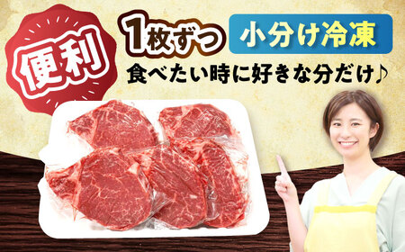 希少部位 瀬戸山麓牛 ヒレステーキ 500g(100g×5) / 牛肉 ヒレ ステーキ / 瀬戸市 /合資会社関屋精肉店[BBBQ057]
