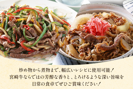 牛肉 宮崎牛 小間切れ 200g 10P 計2kg [マルミヤストア 宮崎県 美郷町 31ag0147]