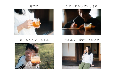 森の力でおいしく整うクラフトコーラ 5本セット 森のコーラ 整う ダイエット 美容 健康 腸活 ダイエットおやつ おやつ ドリンク 甘酒 ご褒美 ギフト おすすめ 姫路市 森を守る 森林再生 ナチュラル エシカル サステナブル