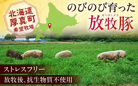 放牧豚 モモチャーシュー 計450g（225g×2） [AXBA145]