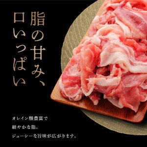 【 定期便 12回 】高級 ブランド 錦雲豚 モモ 切り落とし 1kg | お肉 肉 おにく 豚 ぶた 豚肉 もも モモ肉 もも肉 豚もも 切落し 定期 大分県 中津市