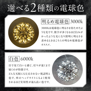 【でんらい】屋外対応の輝くLEDシャンデリア|WPP035［172C07］屋外対応 輝くLED シャンデリア 選べる カラー WPP035 庭園灯 LED ライト ステンレス 錆びにくい ケーブル付き コンセント式 照明 おしゃれ ラグジュアリー 室内 屋外 庭 玄関灯 エクステリア 外灯 でんらい 愛知県 小牧市 送料無料