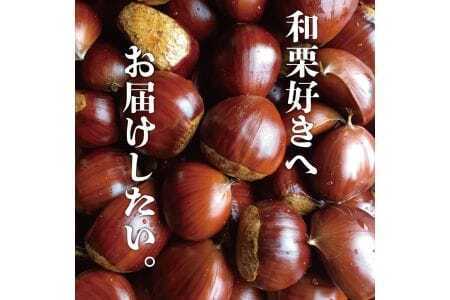 【定期便12ヵ月】無添加和栗専門店「美むら」の和栗 焼き栗1kg
