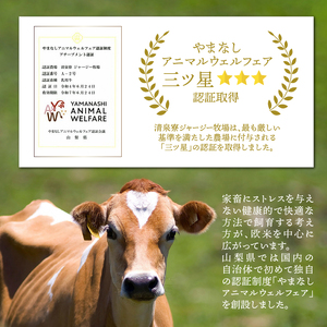 清泉寮ジャージーゴーダチーズ　100g×2個 チーズ ゴーダチーズ 100g×2個 清里 清泉寮牧場 有機ジャージー 有機JAS認証取得 ジャージー牛乳 低温殺菌処理 清里 山梨県 北杜市産 [h041]