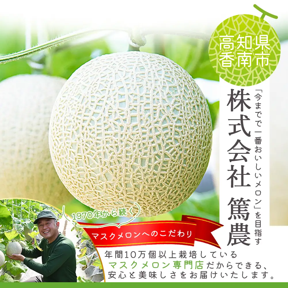 【３回定期便】マスクメロン（家庭用） 1玉入 青肉品種 高級メロン！ ／ マスクメロン 果物 フルーツ ギフト 農家直送  Wtn-0038