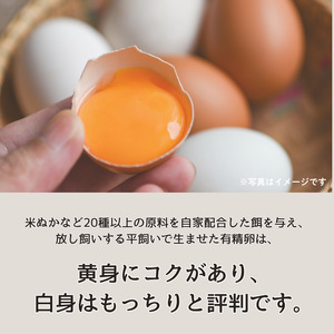 きりたまギフトセット25個入り