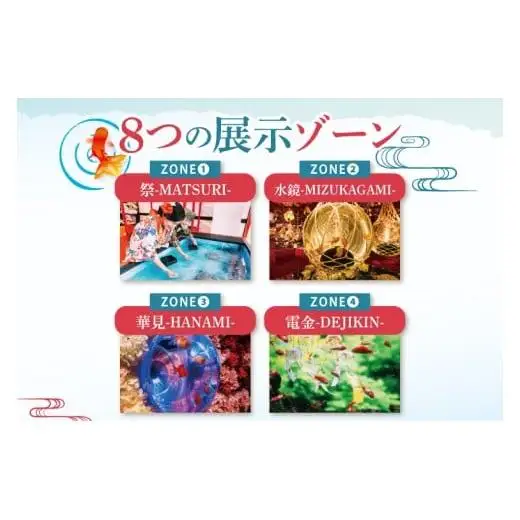 沖縄金魚ミュージアム入場券　子供1名