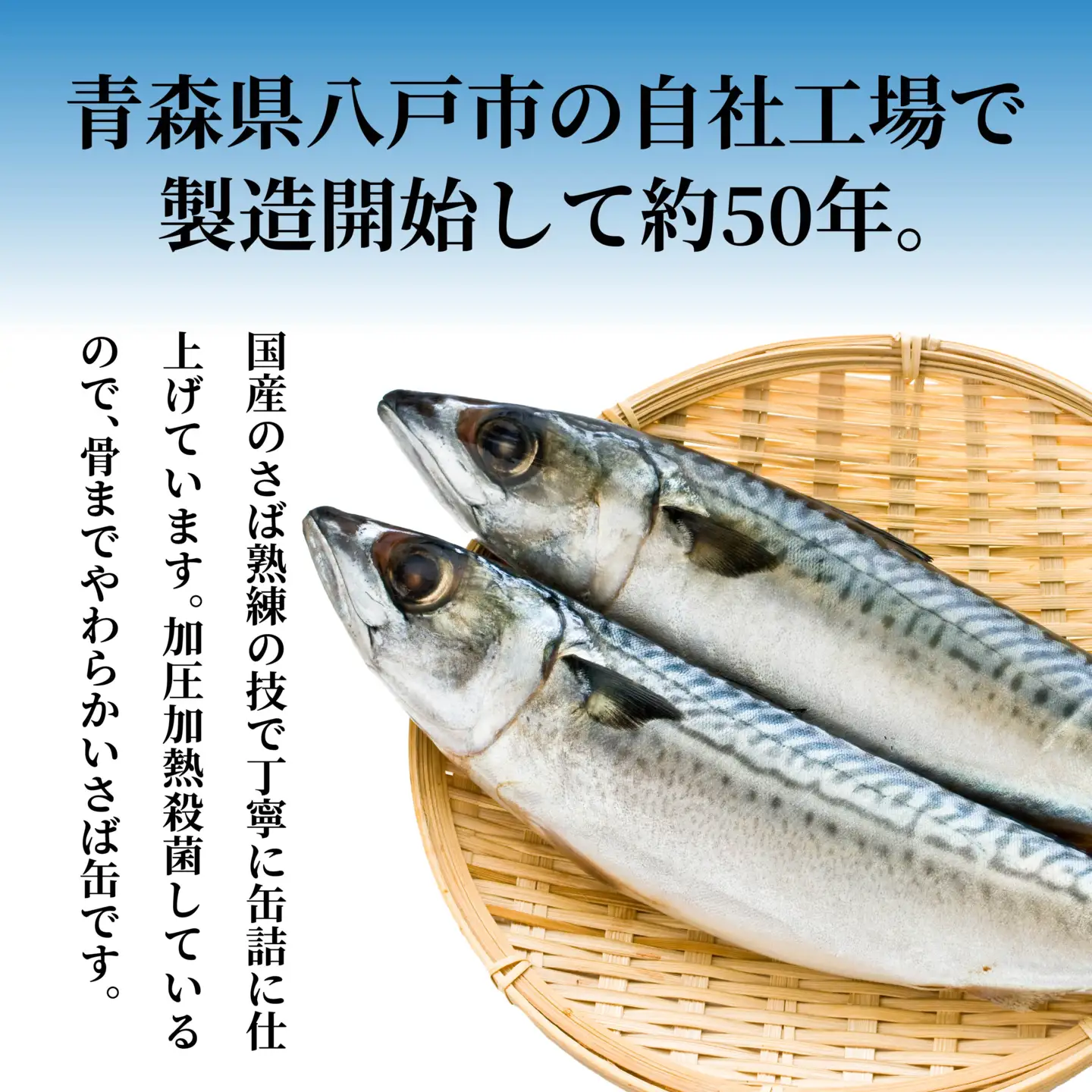 HOKO 日本のさば 醤油煮 〈12缶〉 セット 宝幸サバ缶過去10年間出荷数2億6千万缶以上 鯖缶 青森県 八戸市