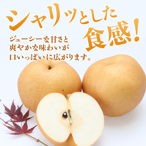 梨 2026年 先行受付 あたご梨  秀品 約4kg(3～6玉) 岡山