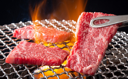 神戸牛 希少部位 焼肉セット B (5種） 計 800g （ まるしん ・ ひうち ・ とうがらし ・ みすじ ・ 三角ばら 各160g）