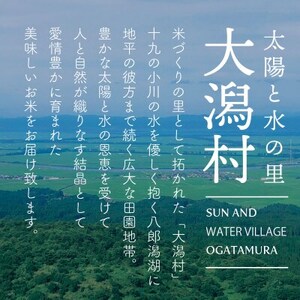 秋田県産 予約受付開始!あきたこまち【令和7年産】無洗米25kg(5kg×5)《10月中旬より発送》【配送不可地域：離島・沖縄県】【1637082】