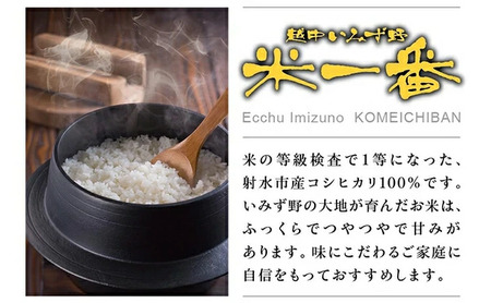 [射水市][射水のうんまいお米] 越中いみず野米一番 （コシヒカリ） パックごはん180g 10個入り ※離島への配送不可