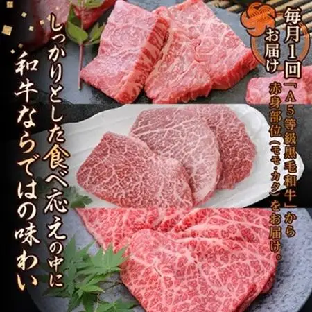 【毎月定期便】黒毛和牛厳選赤身肉定期便(枕崎市) RR-0003 全3回【配送不可地域：離島】【4071894】