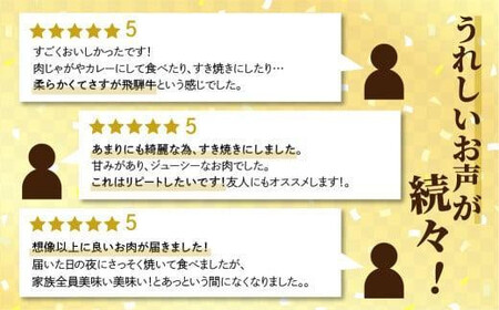 【定期便全3回】飛騨牛 訳あり 切り落とし 600g ｜牛肉 定期便 丸明 LR104