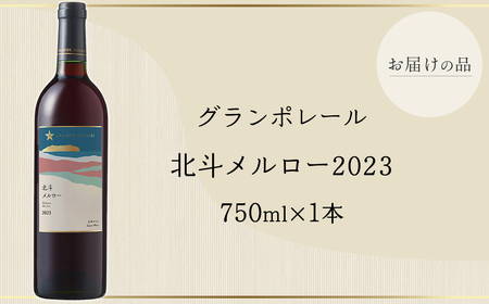 グランポレール 北斗メルロー2023 HOKJ010 | 北海道北斗市 | ふるさと