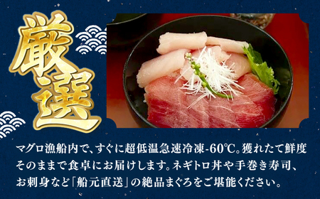 厳選 天然 マグロ 2種セット（計約650g） / 高知 魚介 海鮮 鮮魚 魚 マグロ まぐろ 鮪 新鮮 天然 刺身 寿司 セット 【株式会社Dorago】[ATAM054]