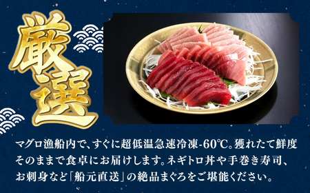 天然本鮪 大トロ 中トロ 赤身 セット（各約200g） / 高知 魚介 海鮮 鮮魚 魚 マグロ まぐろ 鮪 本鮪 新鮮 天然 刺身 寿司 セット 【株式会社Dorago】[ATAM055]